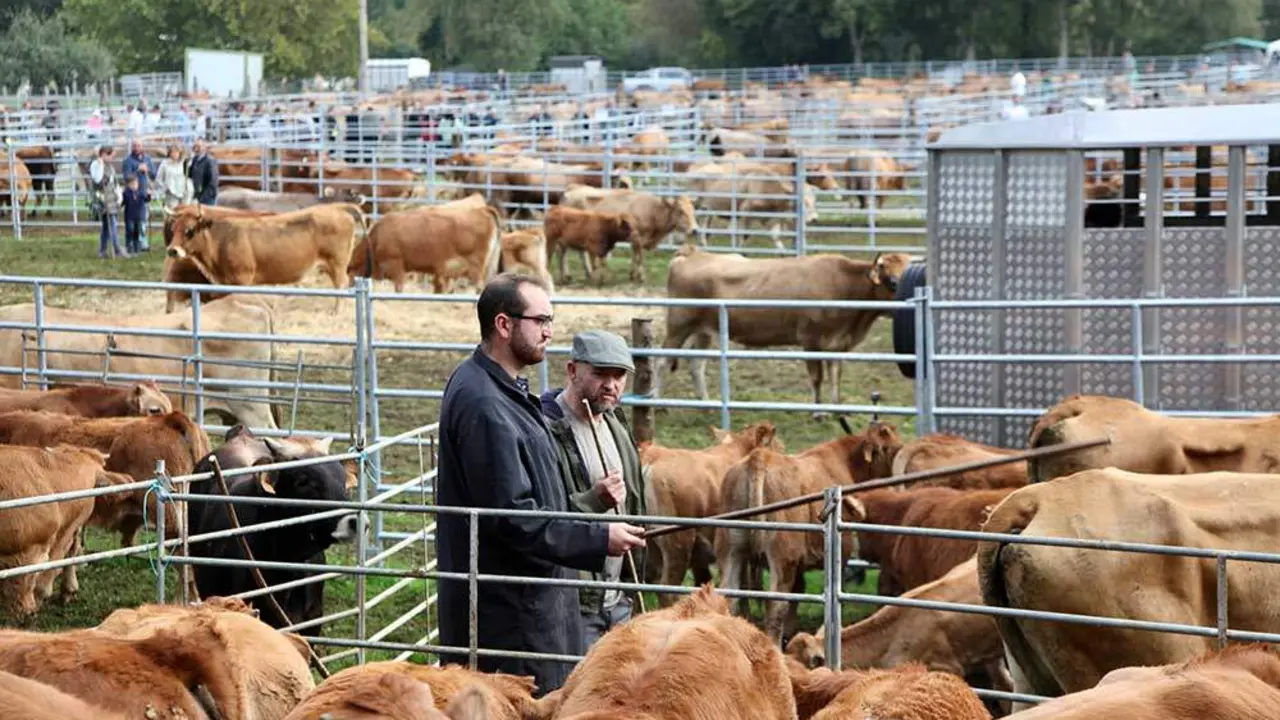 feria-santa-teresa-infiesto-2025-029