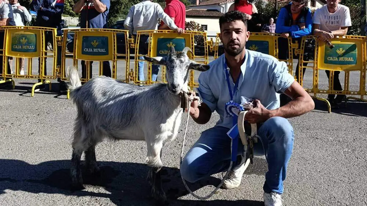 concurso-cabras-picos-europa-onis-010