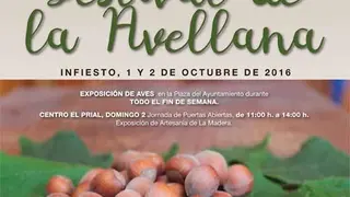 festival-avellana-2016.jpg