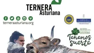 ternera-asturiana-fitur-2019.jpg