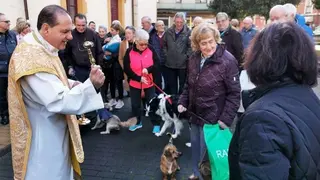 san-anton-infiesto-20202-04