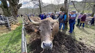 feria-corao-marzo-2020-20