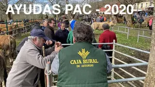 caja-rural-pac-2020