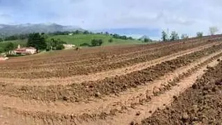 bodega-palacio-nevares