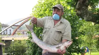 campanu-cares-2020-la-india