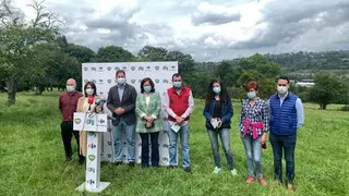 ternera-asturiana-carrefour