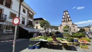 mercau-cangas-onis-21