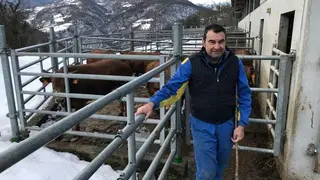 ruben-igp-ternera-asturiana