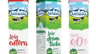 briks-central-lechera