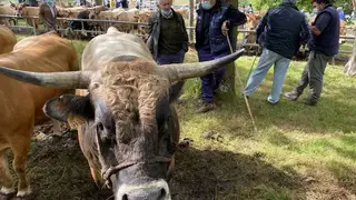 feriona-corao-2021-28