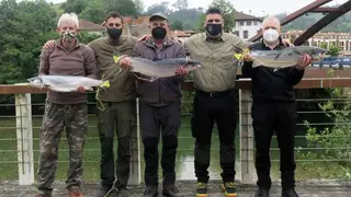 cupo-salmones-tilo-cares-02