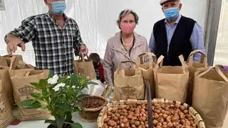 festival-avellana-infiesto-2021-15