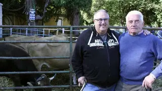 feria-santa-teresa-04