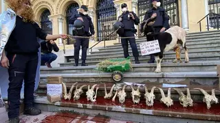 manifestacion-ganaderos-oviedo-16