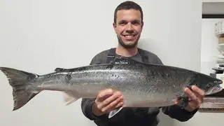 campanu-narcea-2025-01