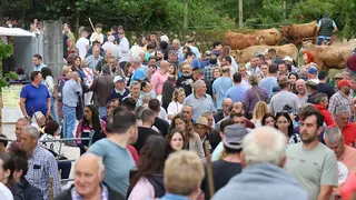 feriona-corao-2025-033