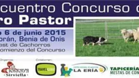 ii-encuentro-concurso-de-perro-pastor-2015-benia-de-onis.jpg