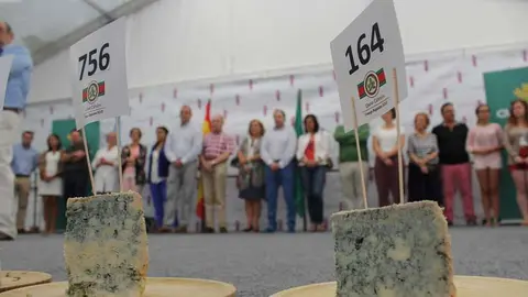 quesu web dentro.jpg