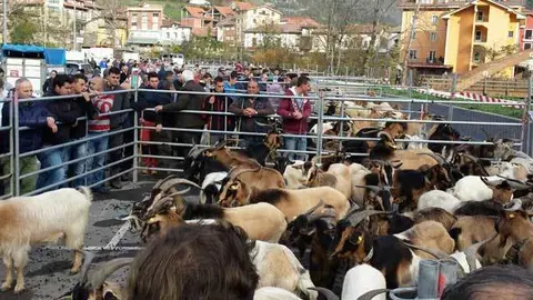 feria-arenas-cabrales.jpg