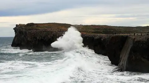 Bufones de Pr&iacute;a | 2016 | Fernando Moro