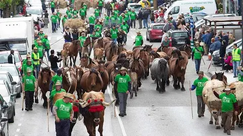 llanera-desfile-caballos.jpg