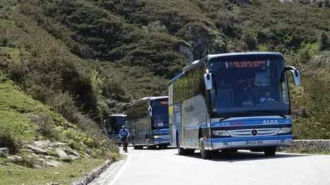autobuses-plan-transporte-lagos-covadonga.jpg
