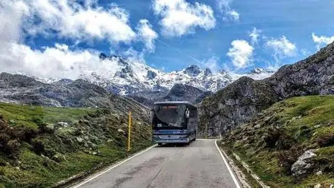 alsa-lagos-covadonga
