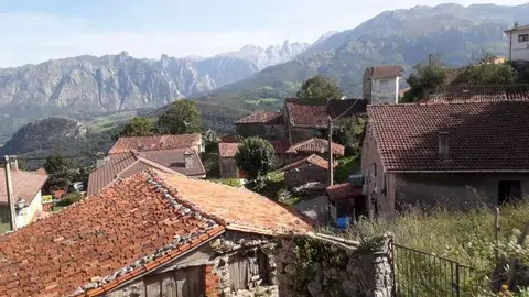 asiegu-cabrales-2019