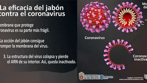 covid-19-lavado-manos-01