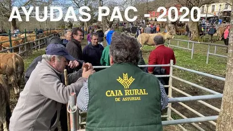 caja-rural-pac-2020