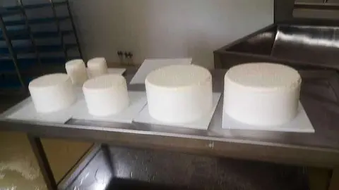 gamoneu-valle-demues