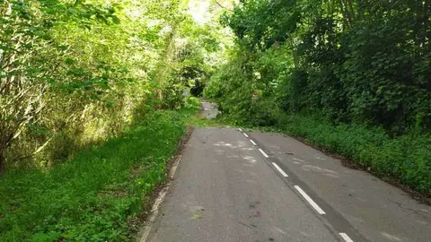 arbol-carretera-pintueles