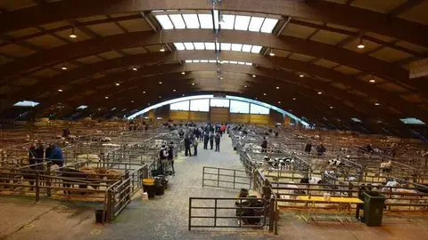 mercado-pola-siero-covid-21