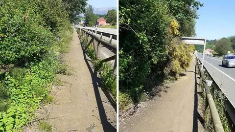 senda-cascos-matorral-02