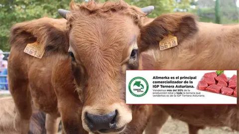 igp-ternera-asturiana-alimerka