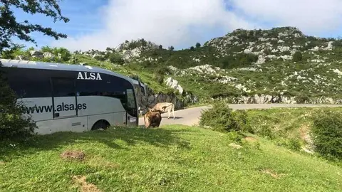 plan-transporte-lagos-02