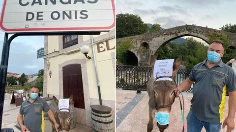 burro-mascarilla-puente-romano