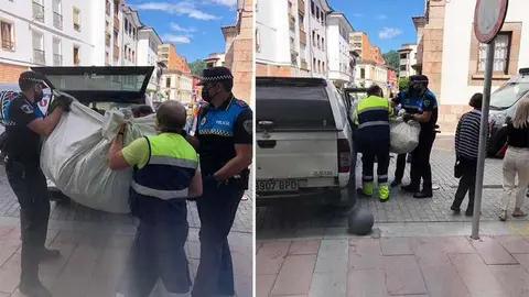 top-manta-cangas-onis