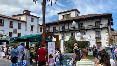 feria-acosevi-villaviciosa