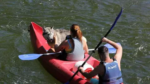 Descenso del Sella con Perro [A&ntilde;o:2020]