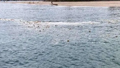 vertido-ribadesella-playa-03