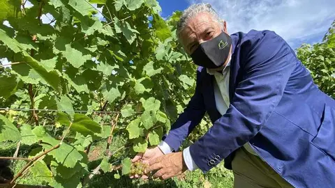 bodega-palacio-nevares-nature-06