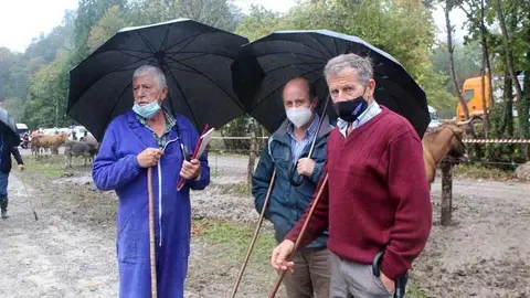 feria-santa-teresa-infiesto-covid-22