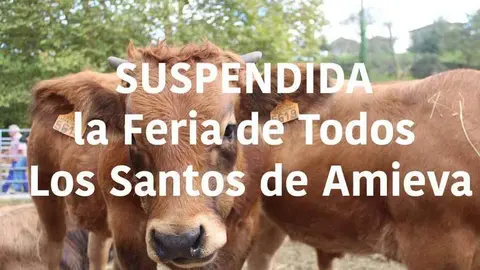 feria-todos-santos-amieva-suspendida