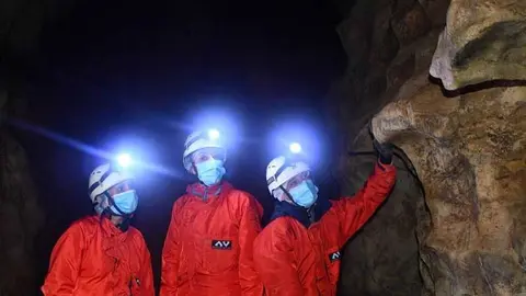 fauna-glacial-onis-01