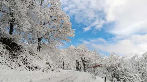 nevada-oseja-2021-04