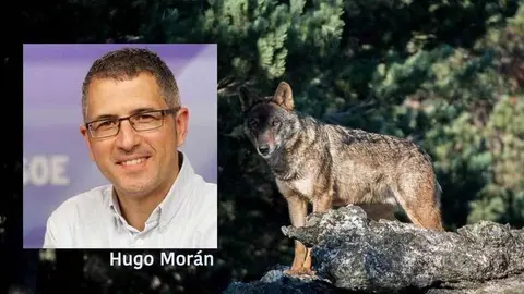 hugo-moran-lobo