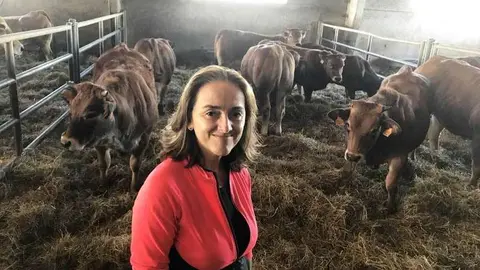 sila-aseava-bartuelo-02