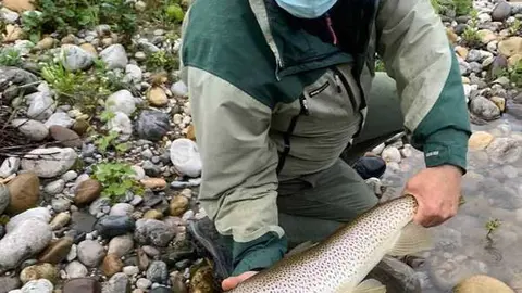 truchon-cares-campanu