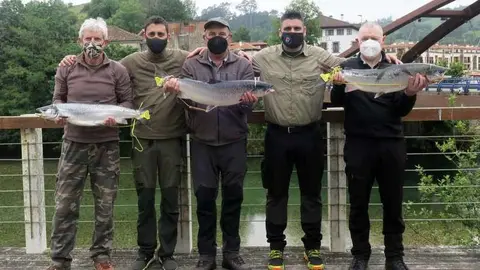 cupo-salmones-tilo-cares-02